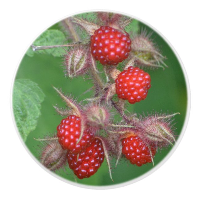 Raspberry Keramik Knob Keramikknauf (Vorderseite)