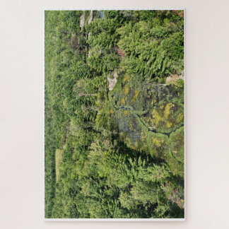 Raspberry Rock Puzzle