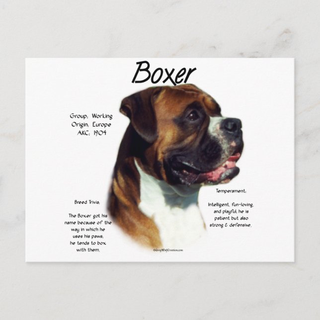 Rasse Postkarte (Vorderseite)