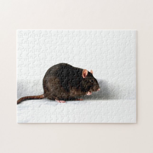 Rat 11x14 252pc jpcna (Horizontal)