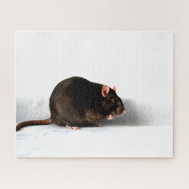 Rat 16x20 520pc jpcna (Horizontal)