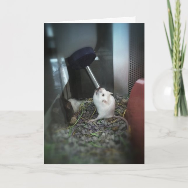 "RAT-artig geparstet" Dankeschön-Karte Karte (Vorderseite)