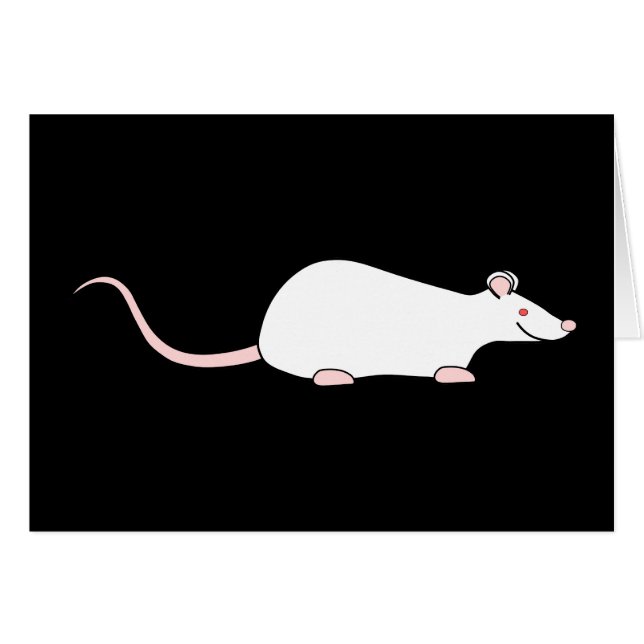 Rat blanc d'animal familier albinos (Devant horizontal)