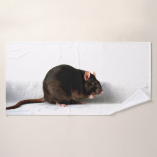 Rat btcnm