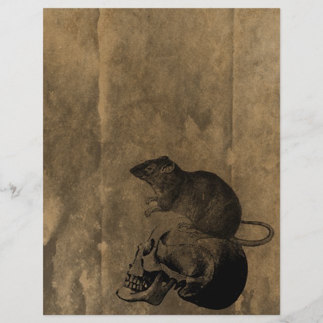 Rat & Crâne Victorien Gothique Papier à gratte-cie (Devant)
