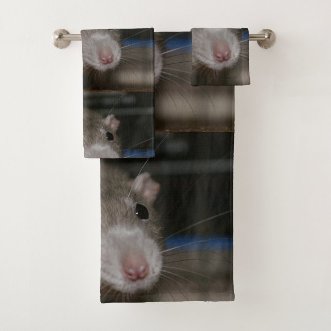 Rat curieux (En situation)