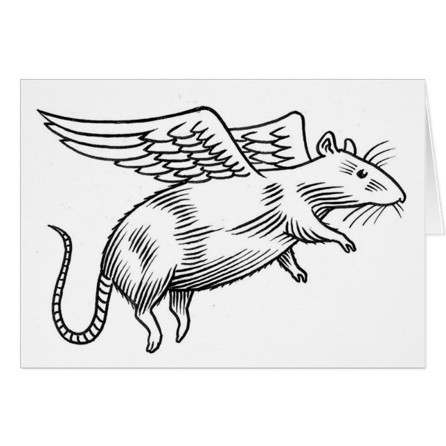 Rat d'ange (Devant horizontal)