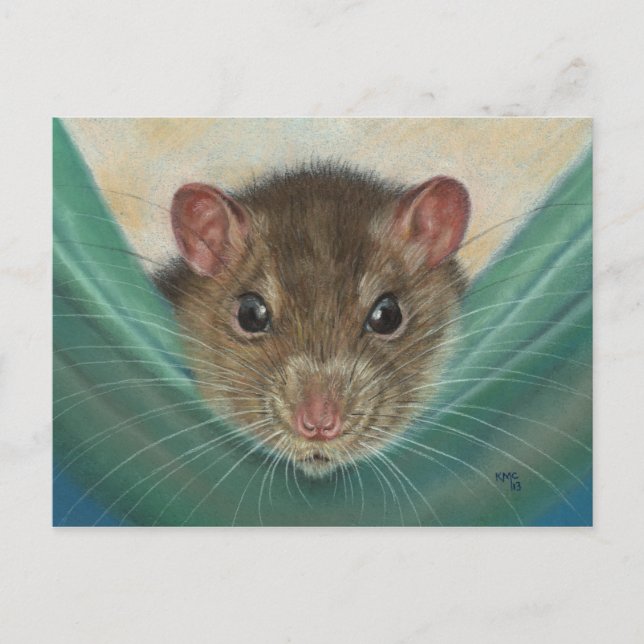 Rat dans Hammock carte postale KMCoriginaux (Devant)