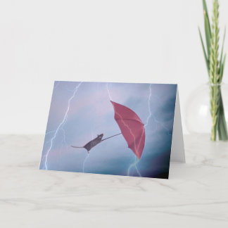 Rat dans la carte de tempête