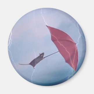 Rat Dans Un Aimant À Tempête