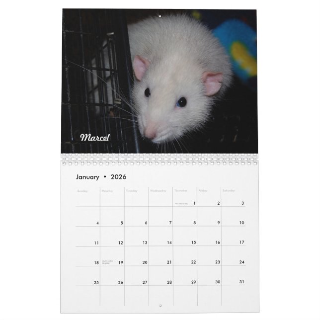 Rat du jour, heu, calendrier de mois (Jan 2026)