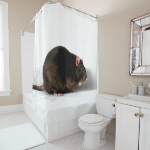 Rat Duschvorhang