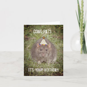 Rat Happy Birthday - Fun Card Karte
