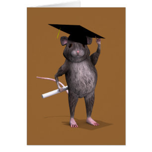 Rat Le Plus Intelligent De La Ville