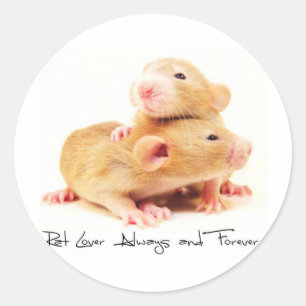 Rat Lover immer und für immer Runder Aufkleber