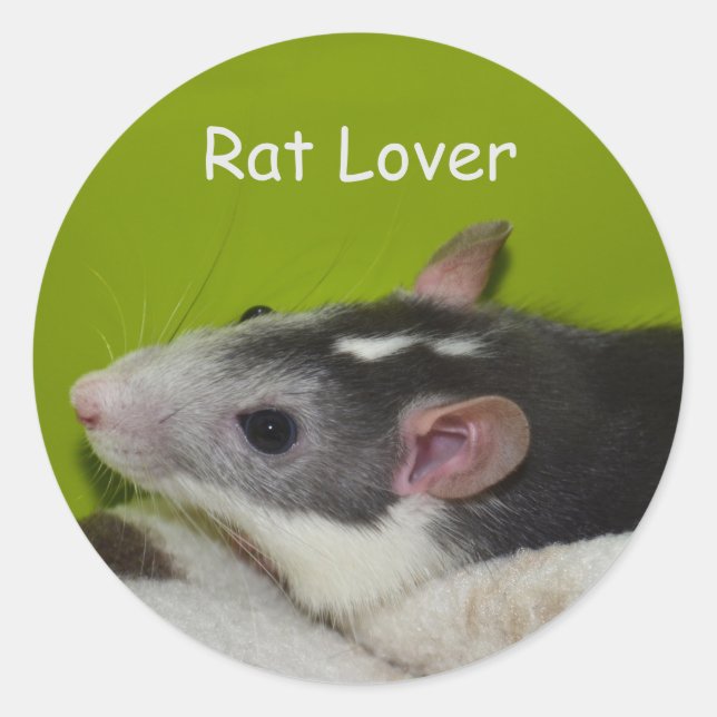 Rat Lover Stickers (Vorderseite)