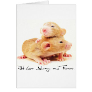 Rat Lover Toujours et toujours