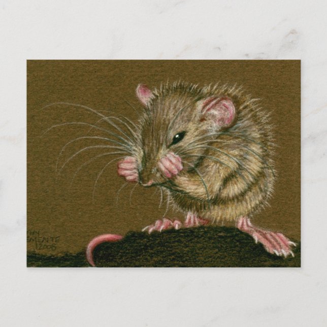 Rat Mad Paws Up Postcard Postkarte (Vorderseite)
