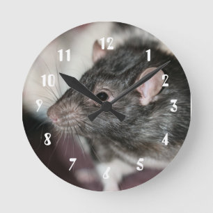 Rat Runde Wanduhr
