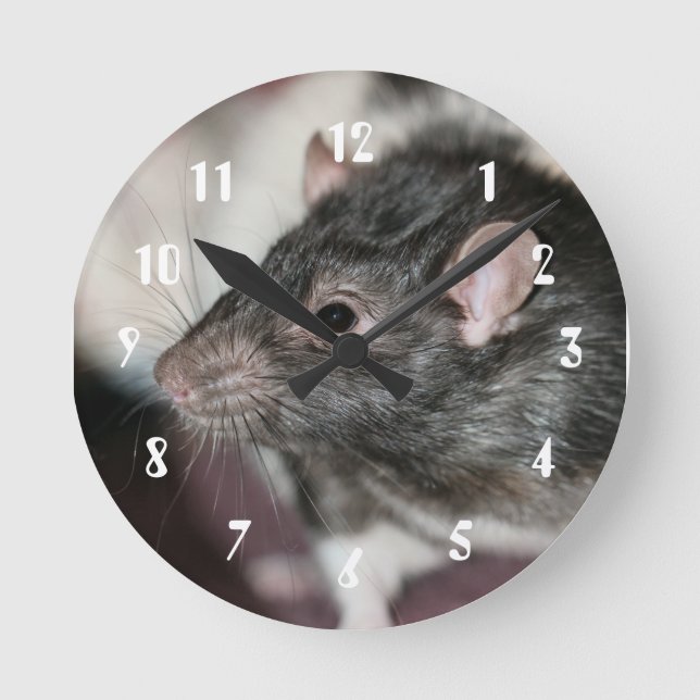 Rat Runde Wanduhr (Vorderseite)