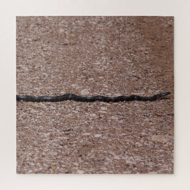 Rat Snake (Vertikal)