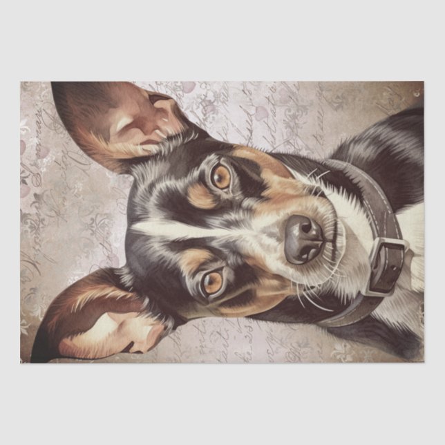 Rat Terrier Dog Seidenpapier (Vorderseite)