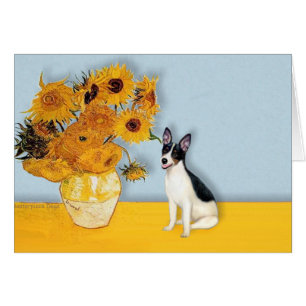 Rat Terrier - Fleurs de soleil