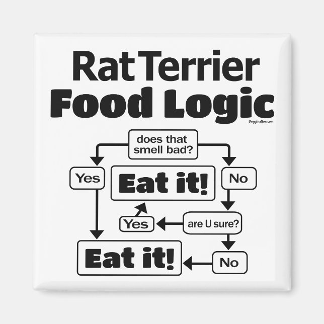 Rat Terrier Food Logic Magnet (Vorne)