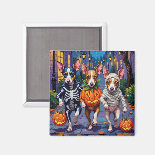 Rat Terrier Halloween-Kostüme beim Trick-or-Treat Magnet