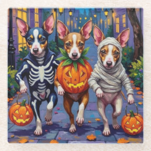 Rat Terrier Halloween-Kostüme beim Trick-or-Treate Glasuntersetzer