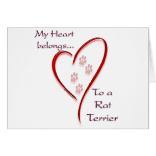 Rat Terrier Heart Belongs