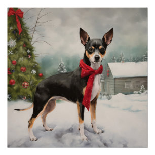 Rat Terrier Hund im Schnee Weihnachten  Poster
