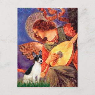 Rat Terrier - Mandolin Engel Postkarte