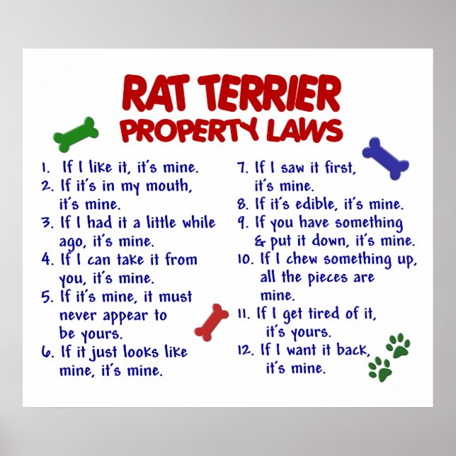 RAT TERRIER PL2 POSTER (Vorne)