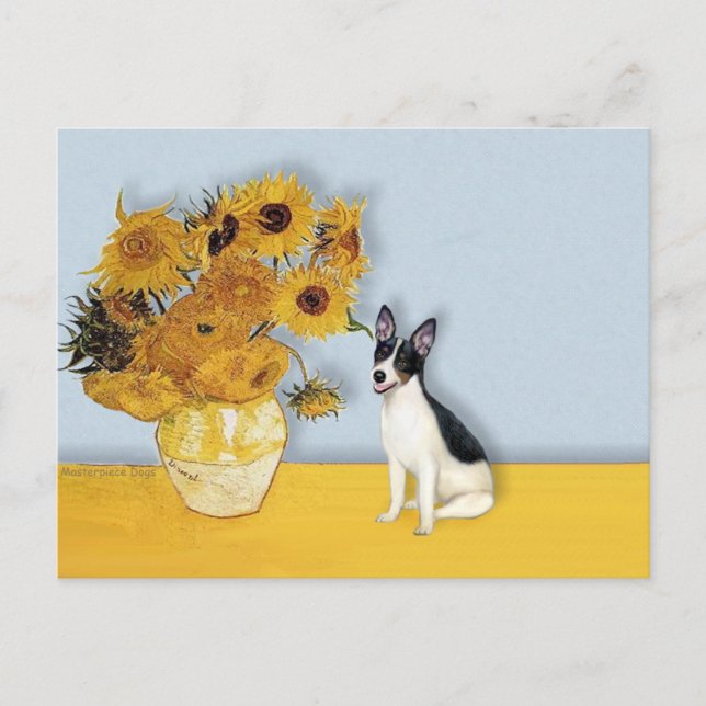 Rat Terrier - Sonnenblumen Postkarte (Vorderseite)