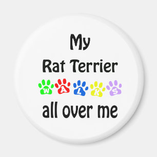 Rat Terrier Walks Design Magnet
