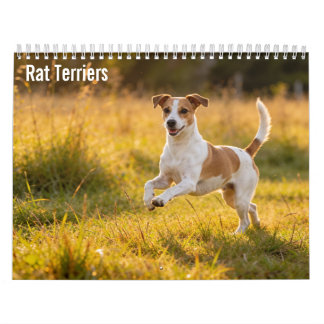 Rat-Terrier-Wandkalender 2027 Kalender