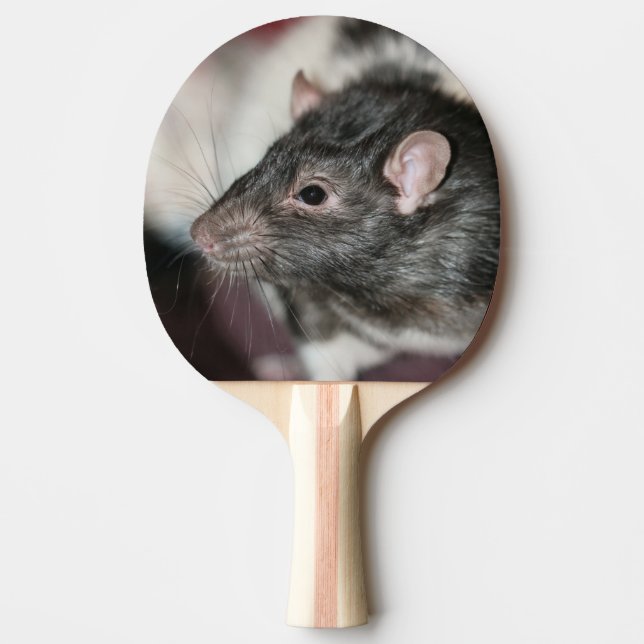 Rat Tischtennis Schläger (Vorderseite)