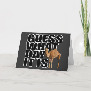 Rate mal, was für ein Tag es ist Hump Day Camel Karte