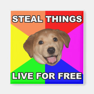 Ratehund stehlen die Sachen, die für freies Live Magnet