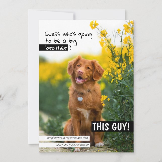 Ratet mal, wer wird ein großer Bruder/eine große S Einladung (Vorderseite)