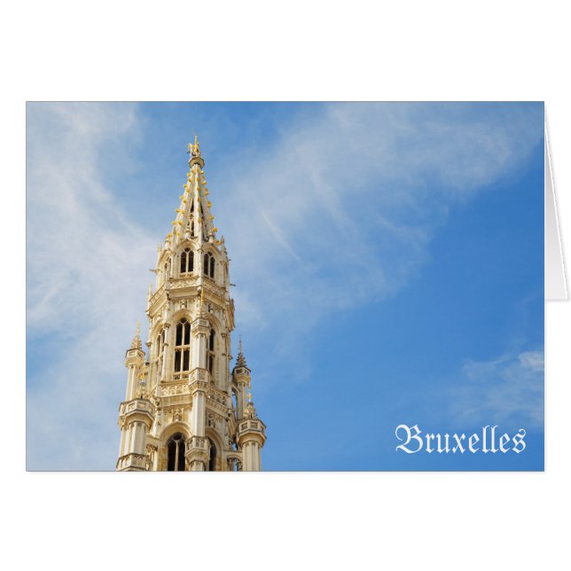 Rathaus in Brüssel (Vorderseite (Horizontal))