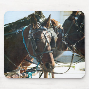 Rathaustreffen Buggy Pferde Mousepad
