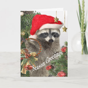 Raton laveur Christma un moment pour des cartes