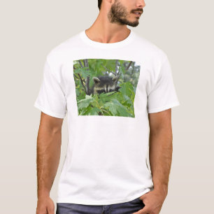 Raton laveur sournois - T-shirt de la jeunesse
