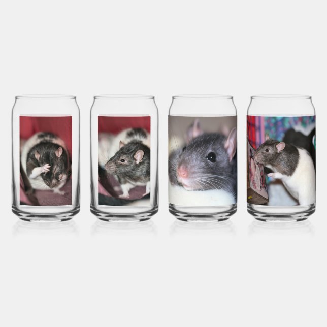 Rats (Recto)