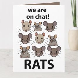 Rats Animal, das wir auf Chat sind Funny Rats Karte