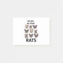 Rats Animal, das wir auf Chat sind Funny Rats