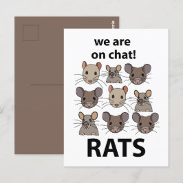 Rats Animal, das wir auf Chat sind Funny Rats Postkarte