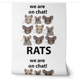 Rats Animal, das wir auf Chat sind Funny Rats Tapete